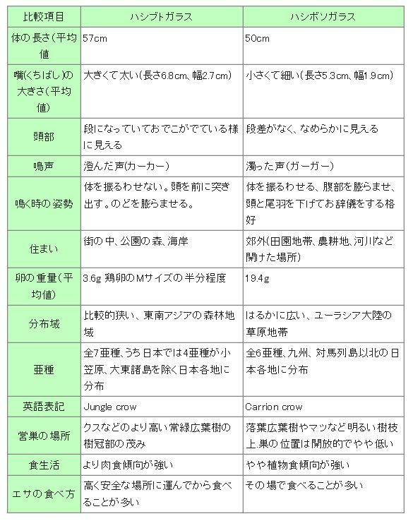 ハシボソガラスの鳴き声 歌 と こころ と 心 の さんぽ 楽天ブログ