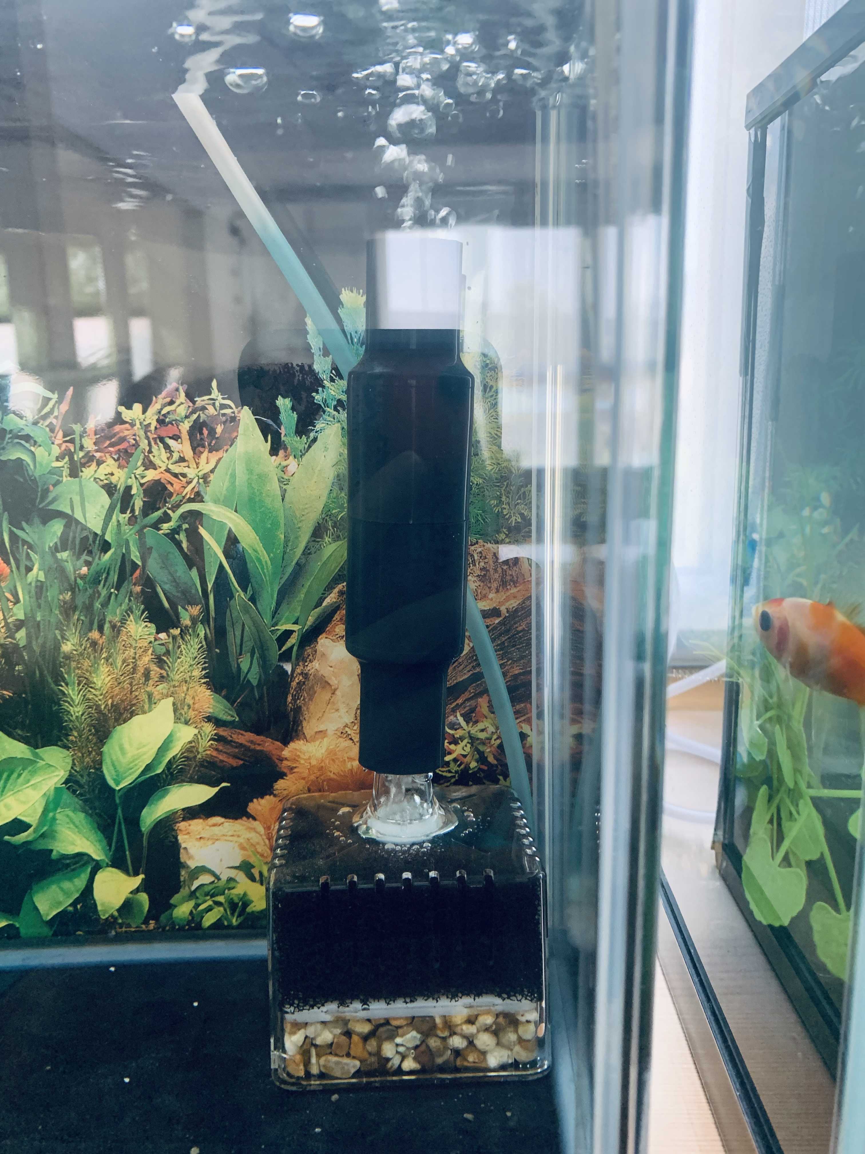 金魚、メダカの濾過フィルター | きんぎょとめだかのaquarium - 楽天ブログ