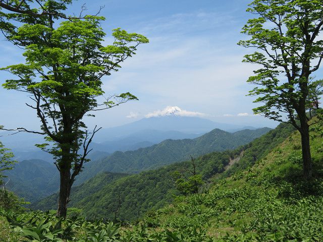 丹沢登山（3）丹沢山山頂→蛭ヶ岳山頂 | 星とカワセミ好きのブログ - 楽天ブログ