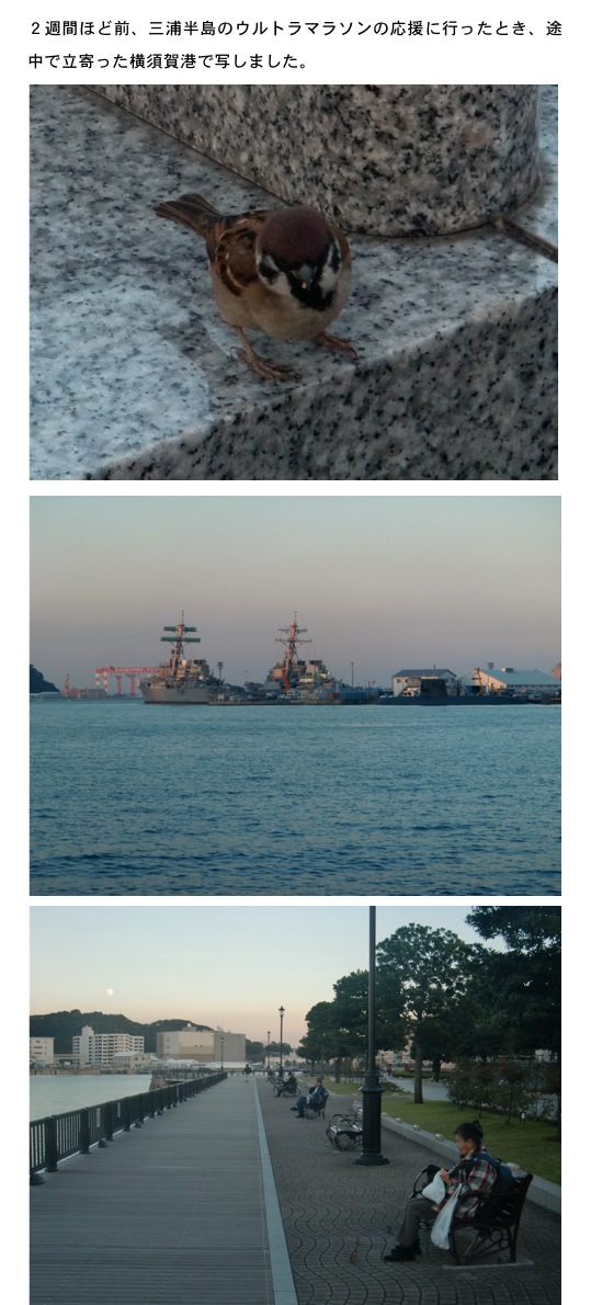 2013.12.01-8.jpg