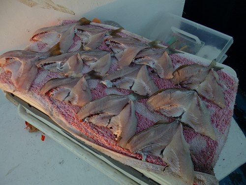 P1030145.jpg