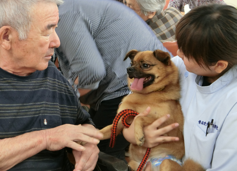 彡 ワンちゃんに癒やし 癒やされ 笑顔で過ごそう O 彡 青森愛犬美容専門学院 楽天ブログ