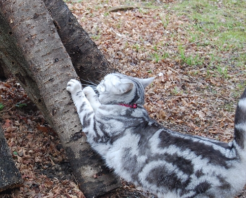 DSC_0102.JPG