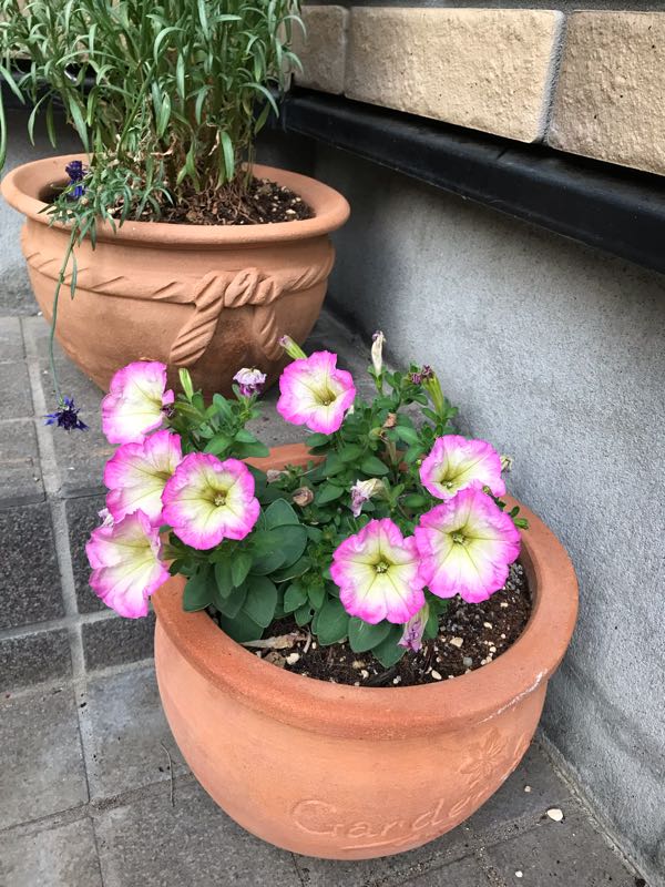 rblog-20190423182202-06.jpg