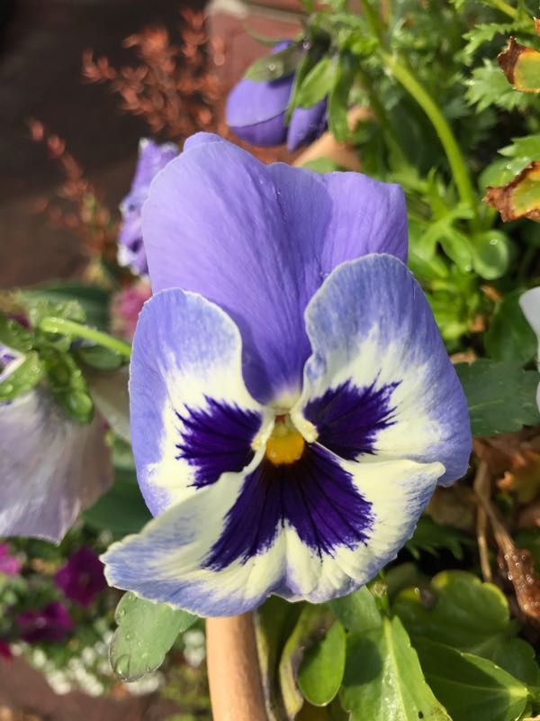 rblog-20190401163447-05.jpg