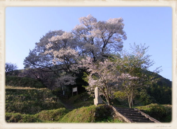 buturyujiyanen3