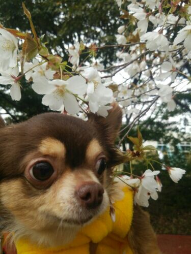 rblog-20160403194948-02.jpg