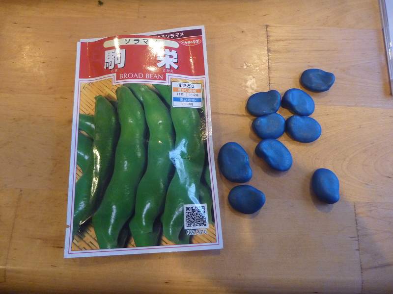 soramame  9parts