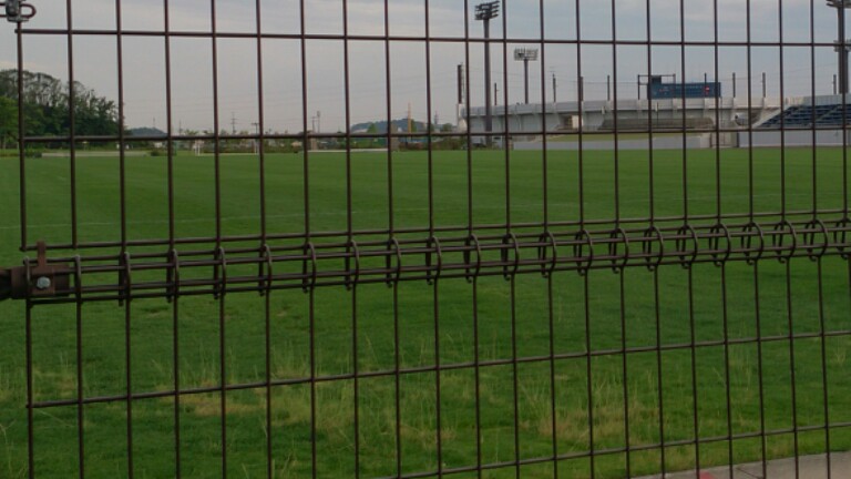 芝っていいよねぇ…