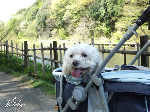 四季の森公園にて