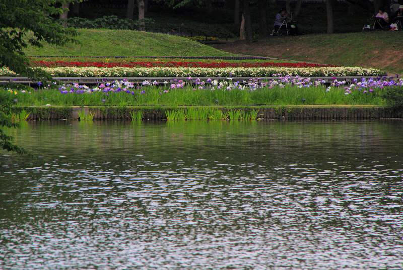 長居植物園_1-2.jpg