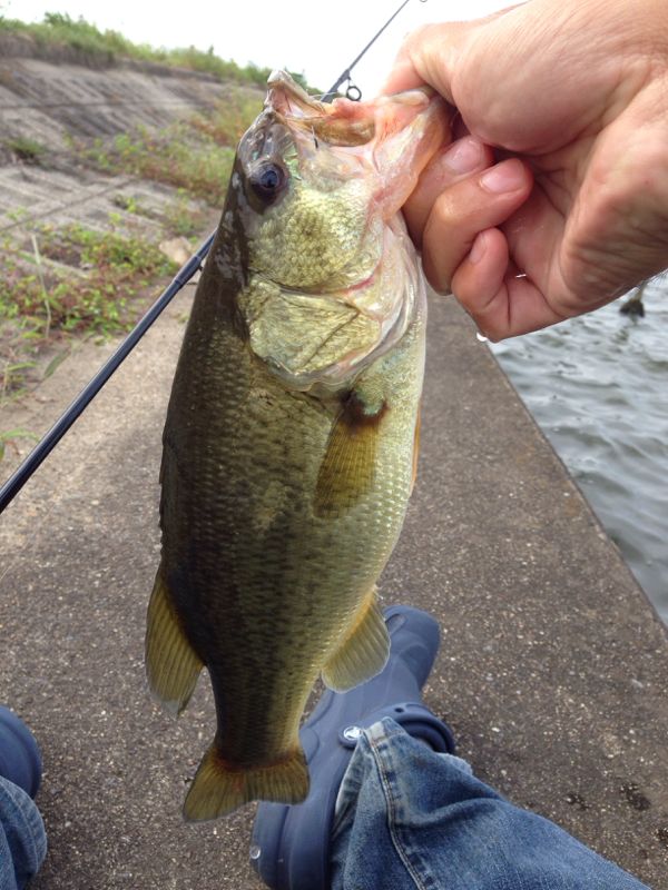 rblog-20140917175845-03.jpg