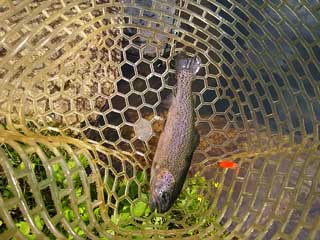 20150613_narago_02.jpg