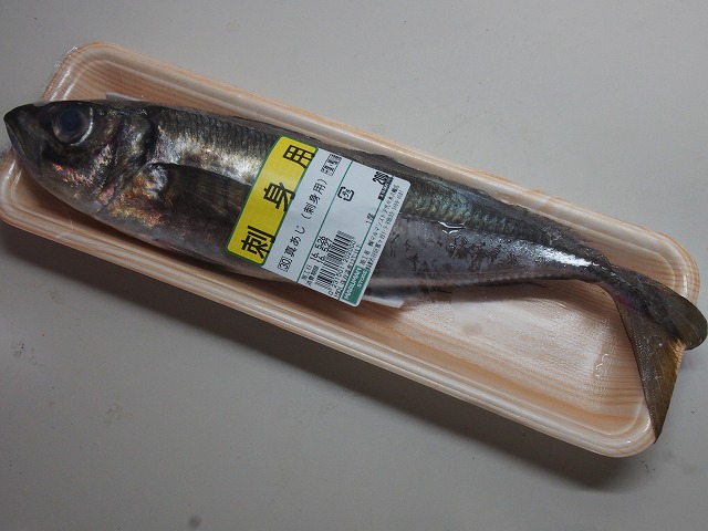 P5260005.jpg