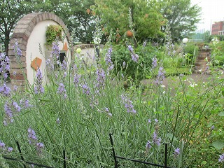 IMG_4982ss.jpg