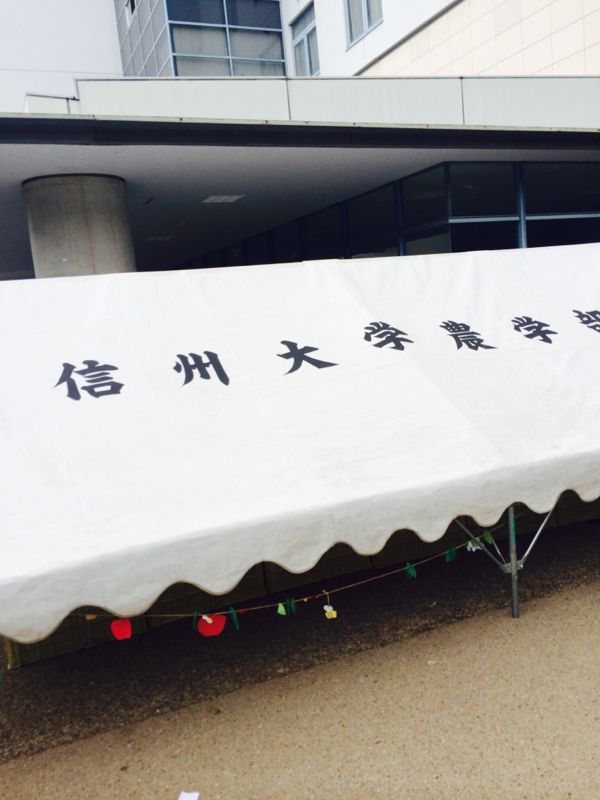 rblog-20161128184913-00.jpg