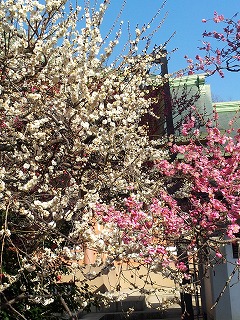 2014-03-11 15.06.32ss.jpg