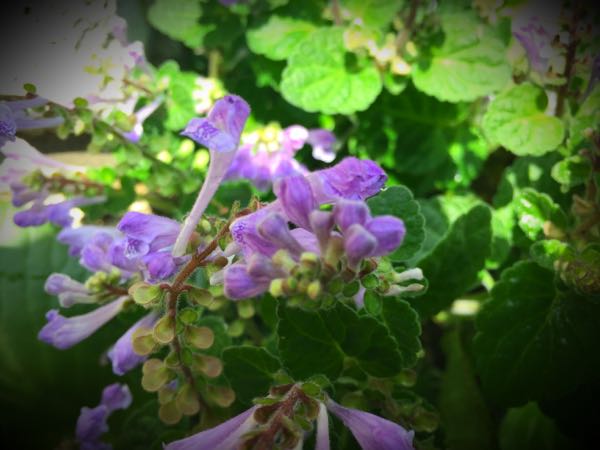 rblog-20160430164719-03.jpg