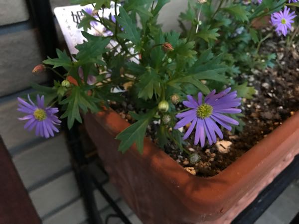 rblog-20181108170359-08.jpg