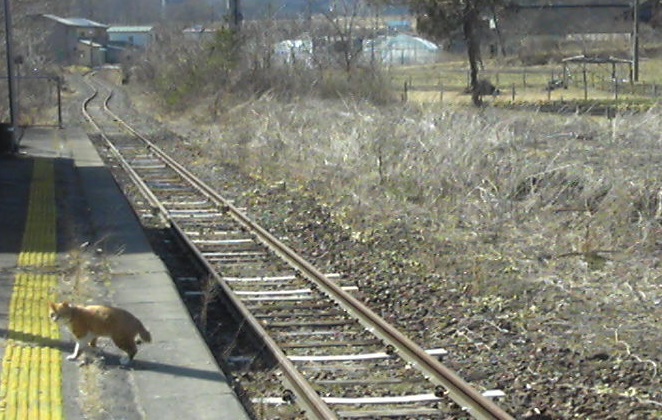 SBSH0093.JPG