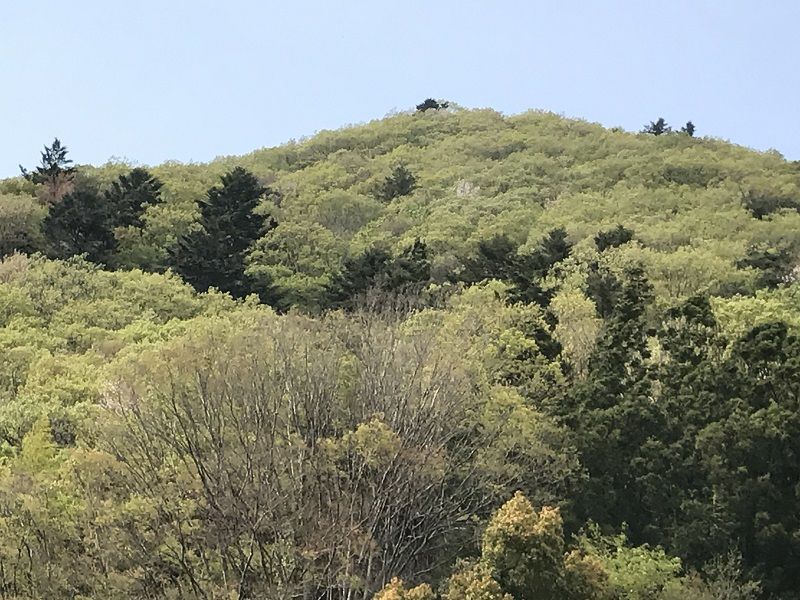 山笑う 醍醐山と下部 しもべ 温泉 楽天ブログ