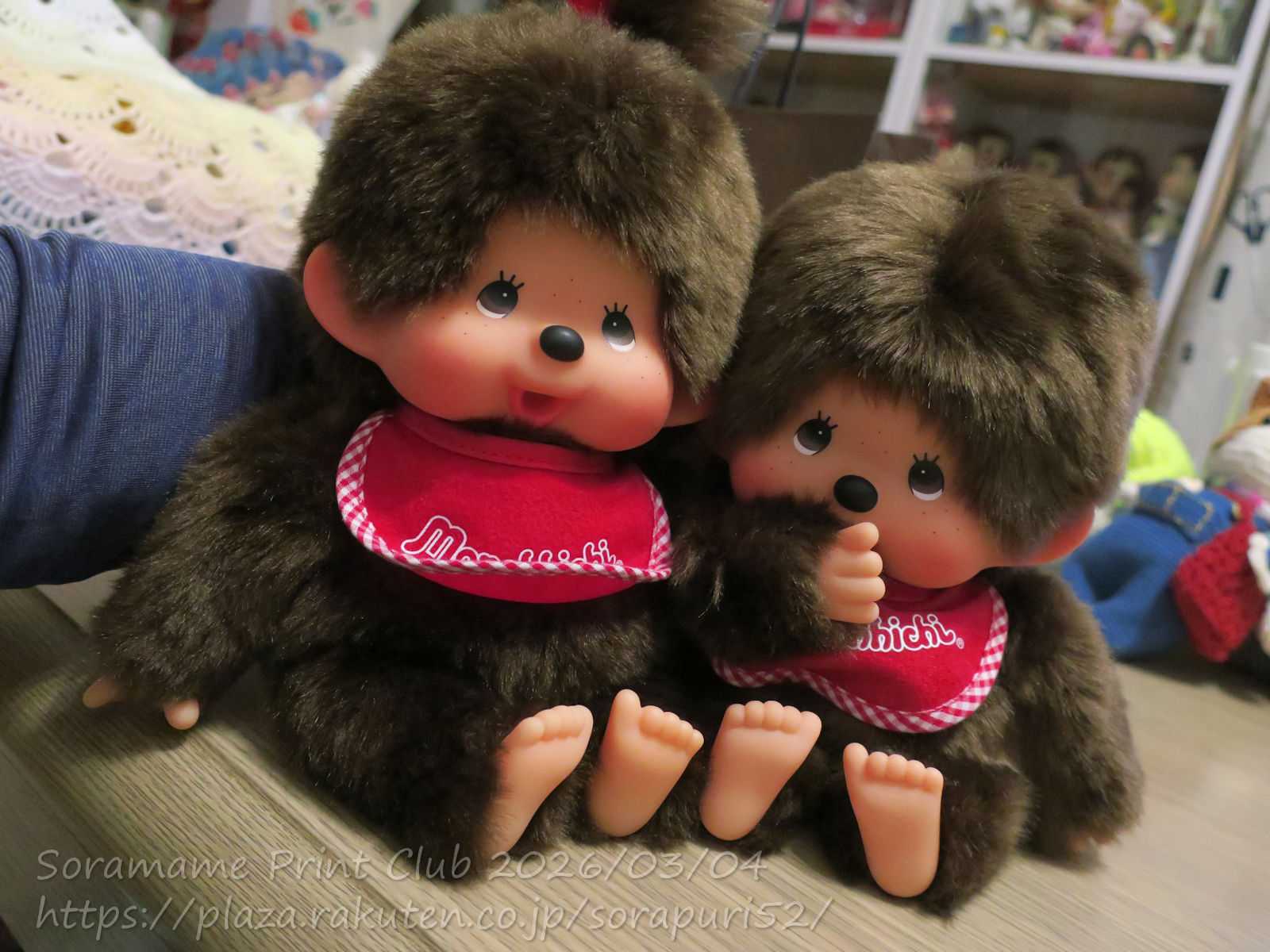 男の子は、モンチッチくん