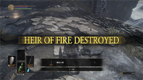 DS19.jpg