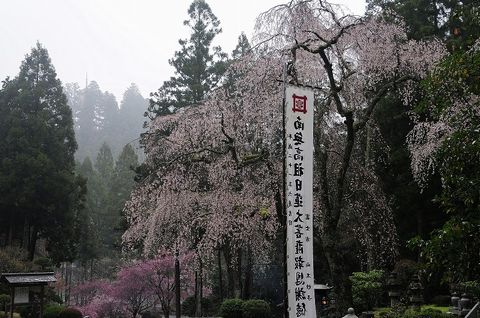 身延発_20120411-2.jpg