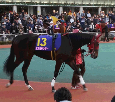 ミスミランダー.png