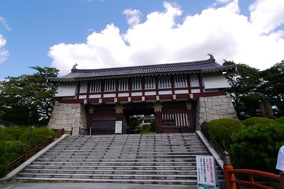 P1000742.JPG