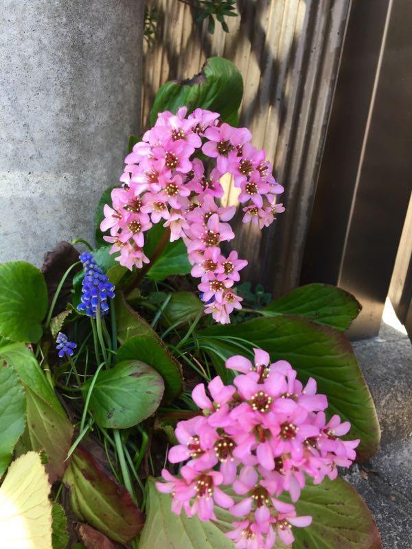rblog-20150331174843-02.jpg