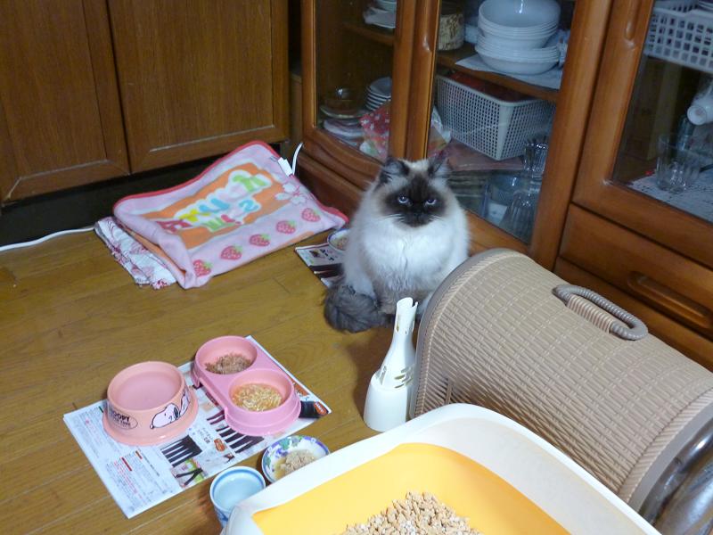 画像 2800.jpg