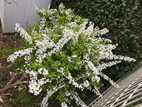 rblog-20190401164244-01.jpg
