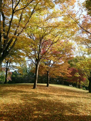 rblog-20141102102625-04.jpg