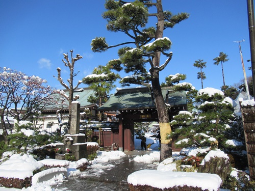 池上本門寺周辺のお寺さん等