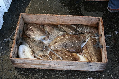 s-IMG_2215.jpg