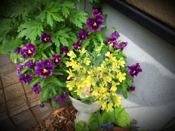 rblog-20160426005323-05.jpg