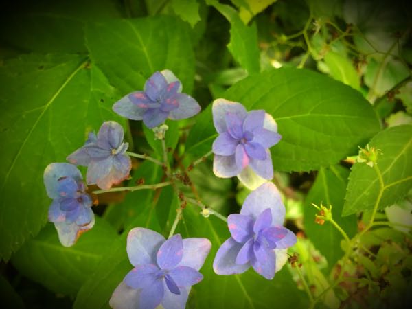 rblog-20160625182925-09.jpg