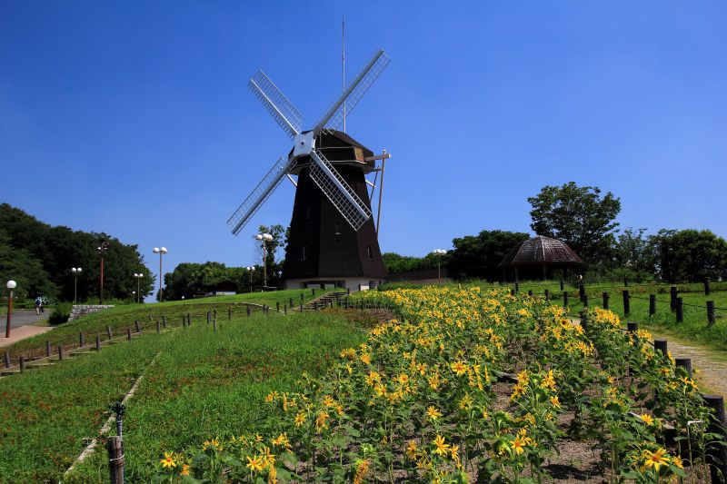 花博記念公園_002.jpg