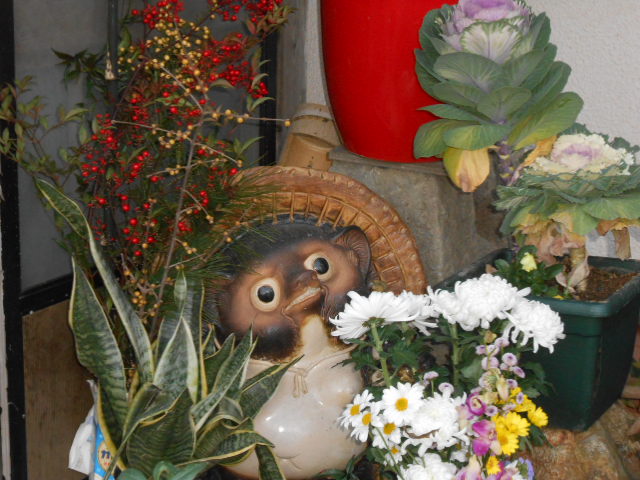 DSCN0783.JPG