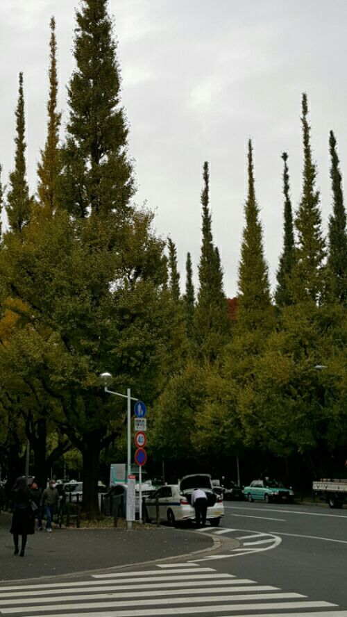 rblog-20161110142156-00.jpg