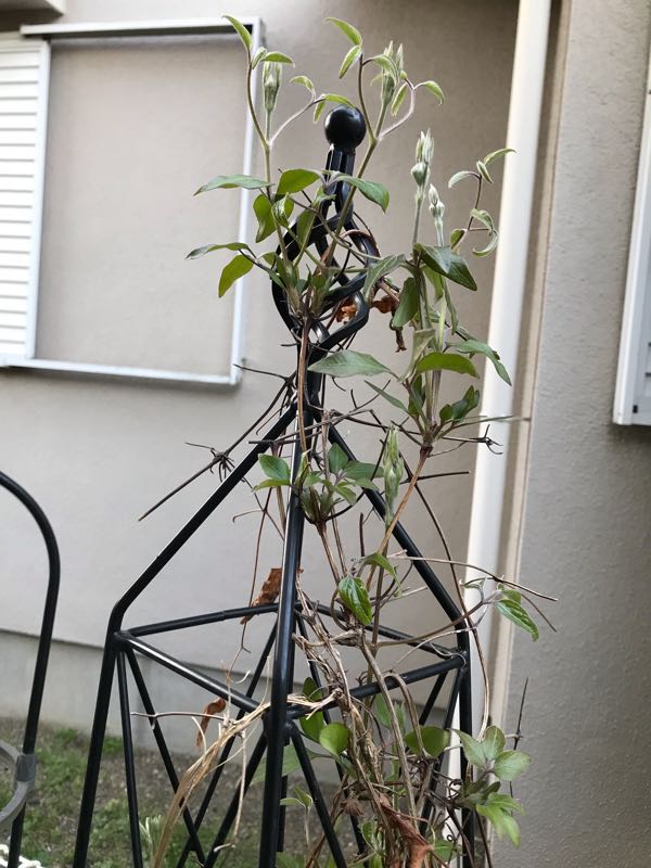 rblog-20190324174901-01.jpg