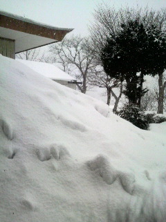 2012-04-13 23:18:41
