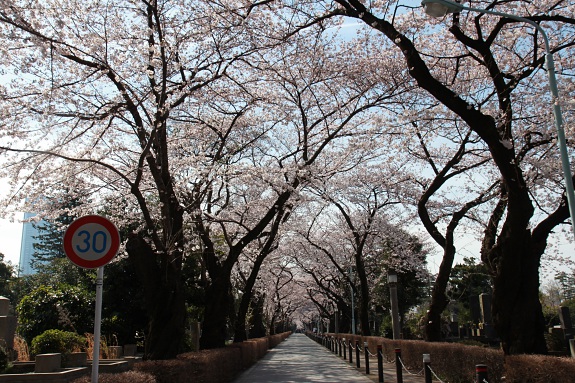 150329_41.jpg