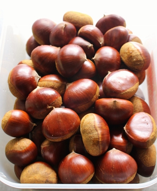 栗.jpg