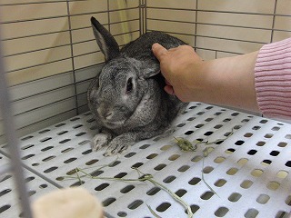 作業用画像その２ 434.jpg