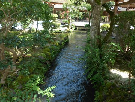 京都　上賀茂神社