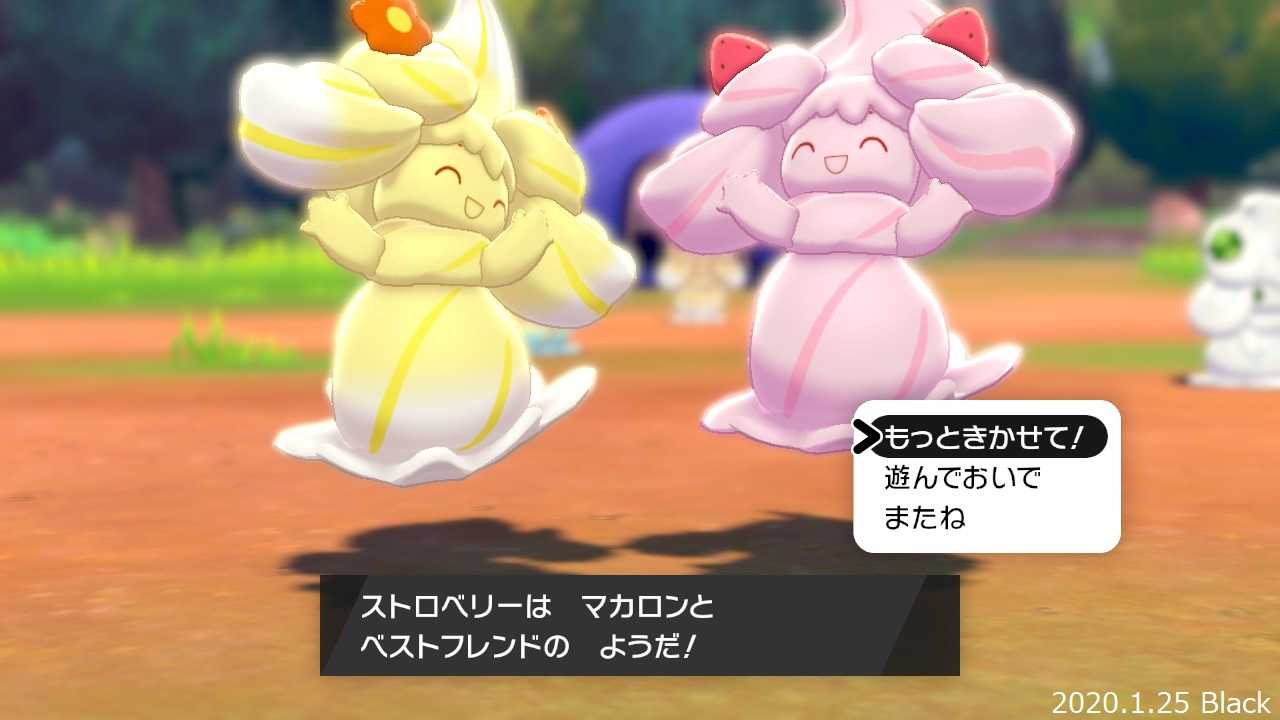 マホイップキャンプ Part2 Game Field 楽天ブログ