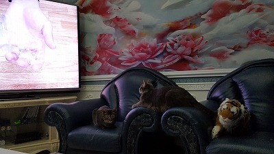 20161126_224634.jpg