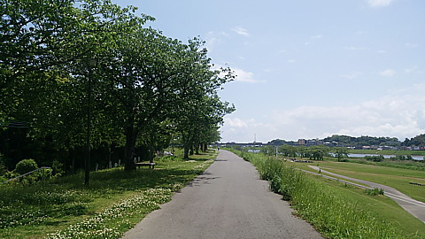IMG_20150502_120506.jpg